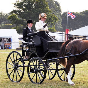 Emily Dressage